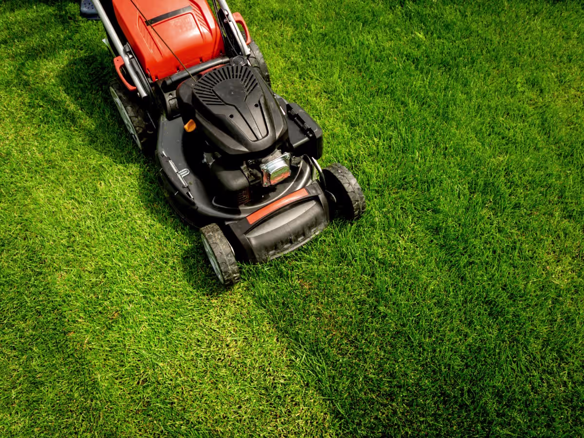 Professional lawn mowing service in Gore, Southland